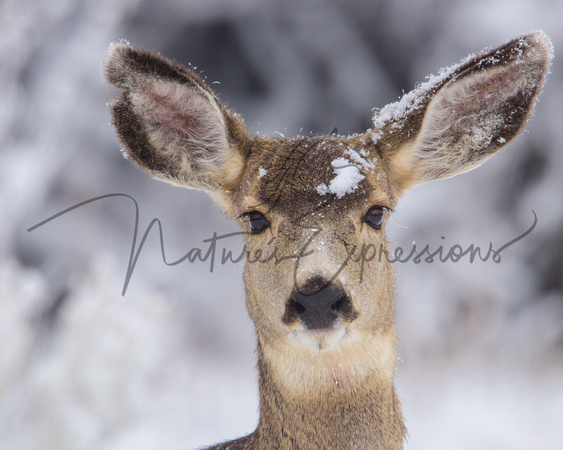 12December25_7865