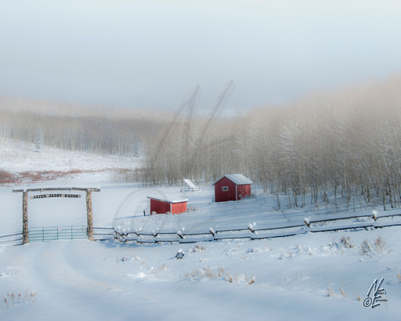 Aspen Alley ranch in fog_2639